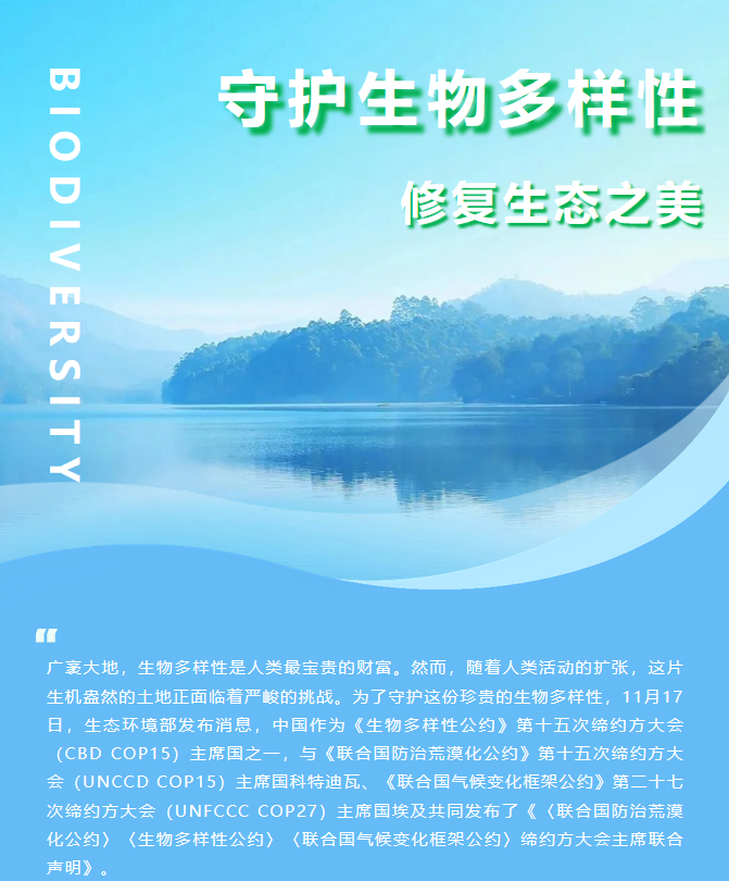 screenshot3.png