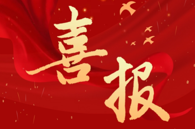 喜報｜中器集團榮獲2024年度安全成績突出集體獎